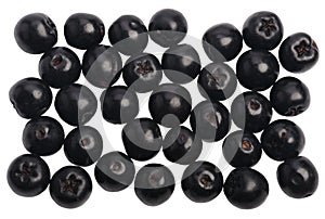 Several black officinal ÃÂ¡hokeberry berries photo